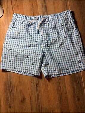Light Blue Gingham Boy’s Swim Shorts with Embroidered Crabs
